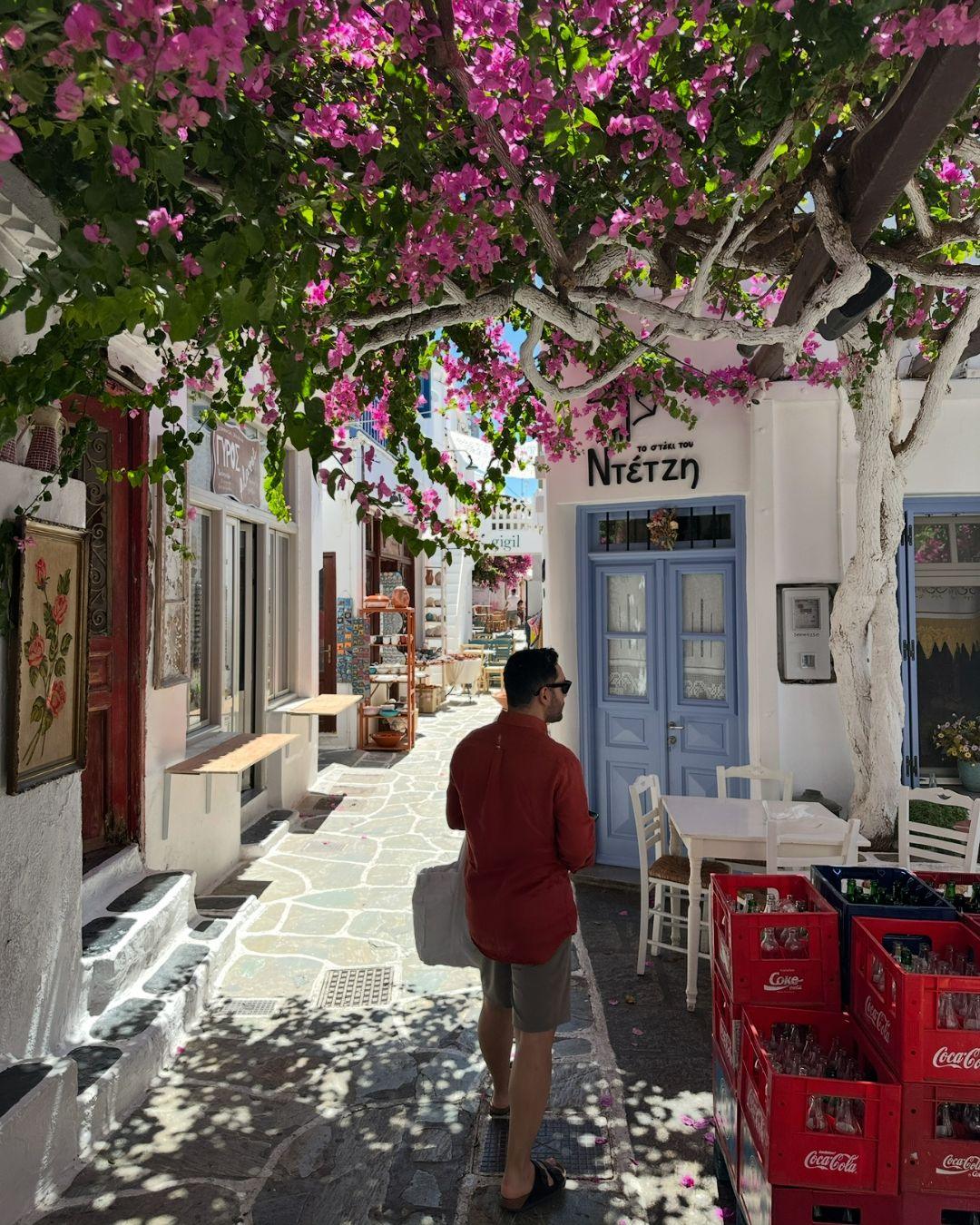 Kythnos Chora'nın begonvillerle süslü, beyaz badanalı otantik taş sokakları