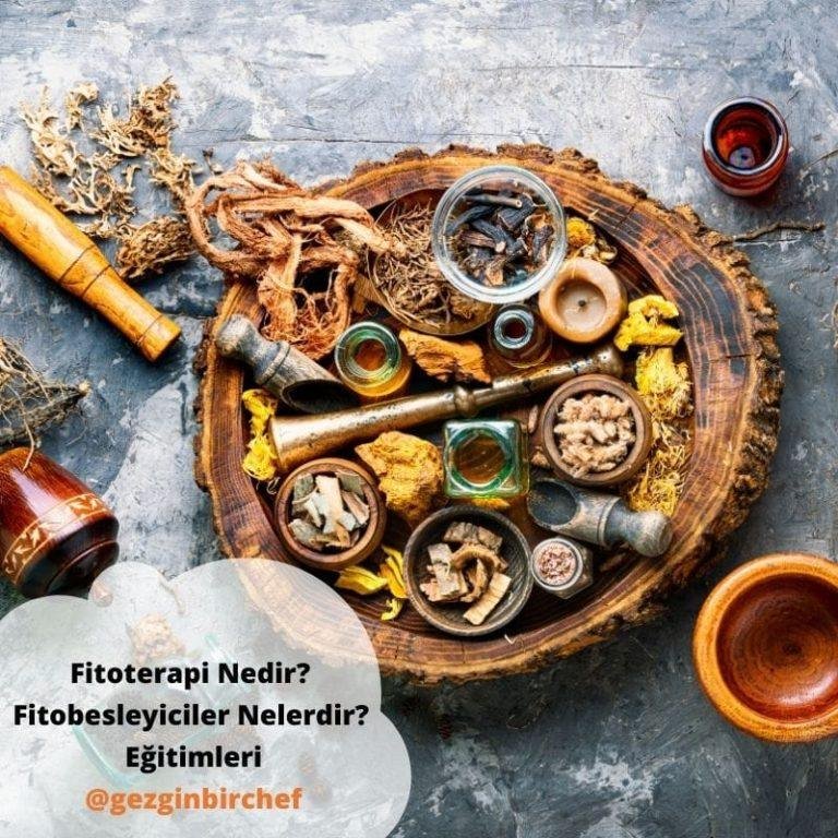 Fitoterapi Nedir? & Fitobesleyiciler Nelerdir? Eğitimleri
