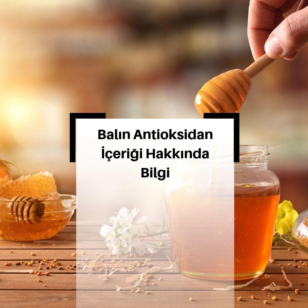 Balın Antioksidan İçeriğinde Neler Vardır?