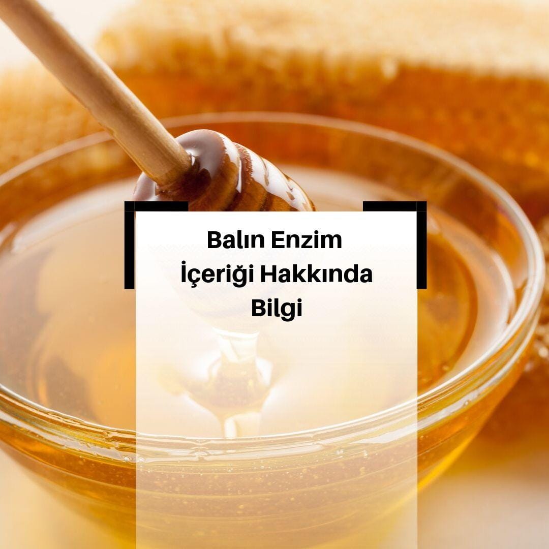 Balın Enzim İçeriğinde Neler Vardır?