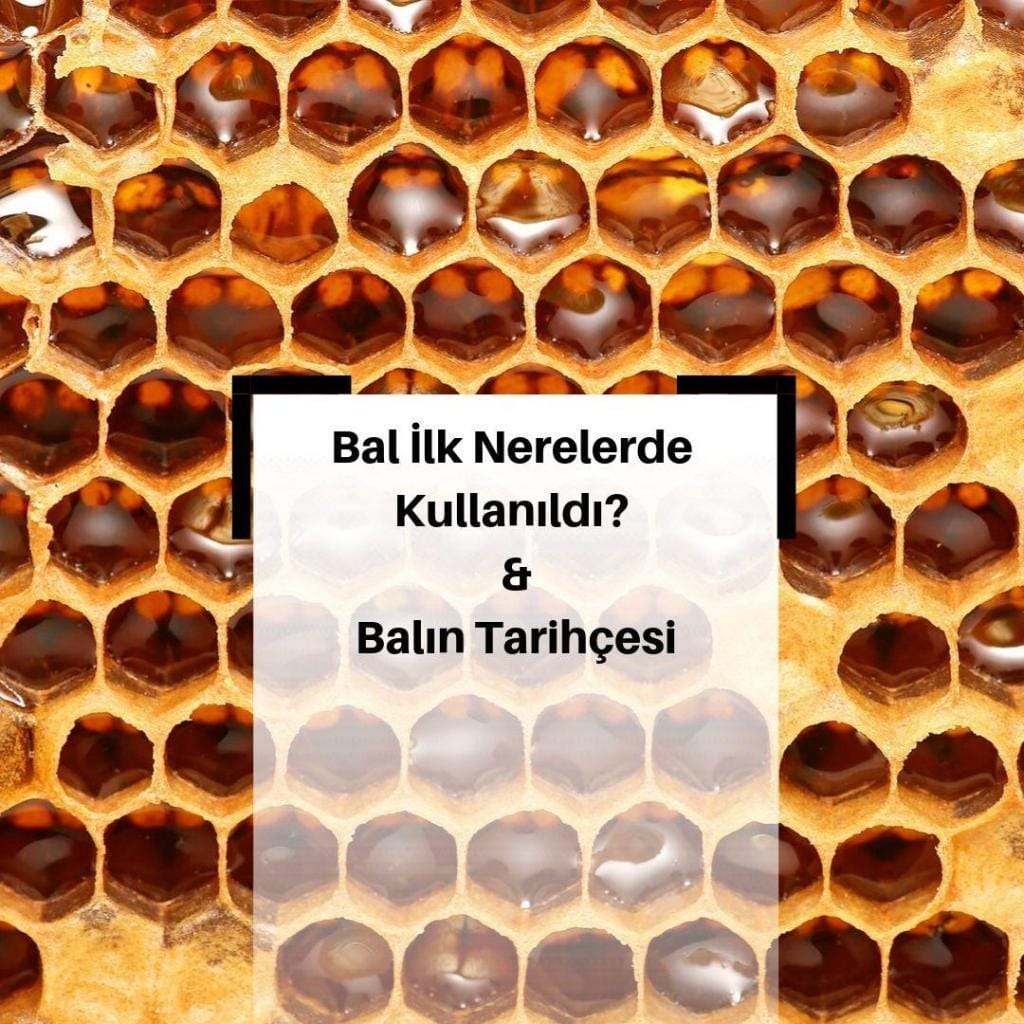 Bal İlk Nerelerde Kullanıldı? & Balın Tarihçesi Nedir?