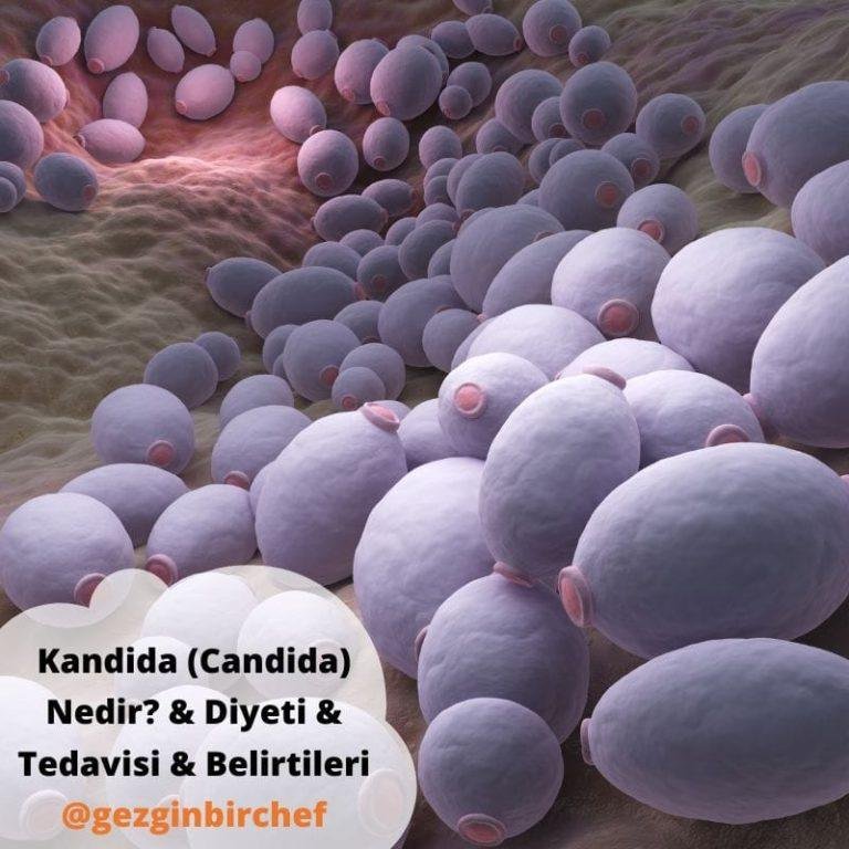 Kandida (Candida) Nedir? & Diyeti & Tedavisi & Belirtileri