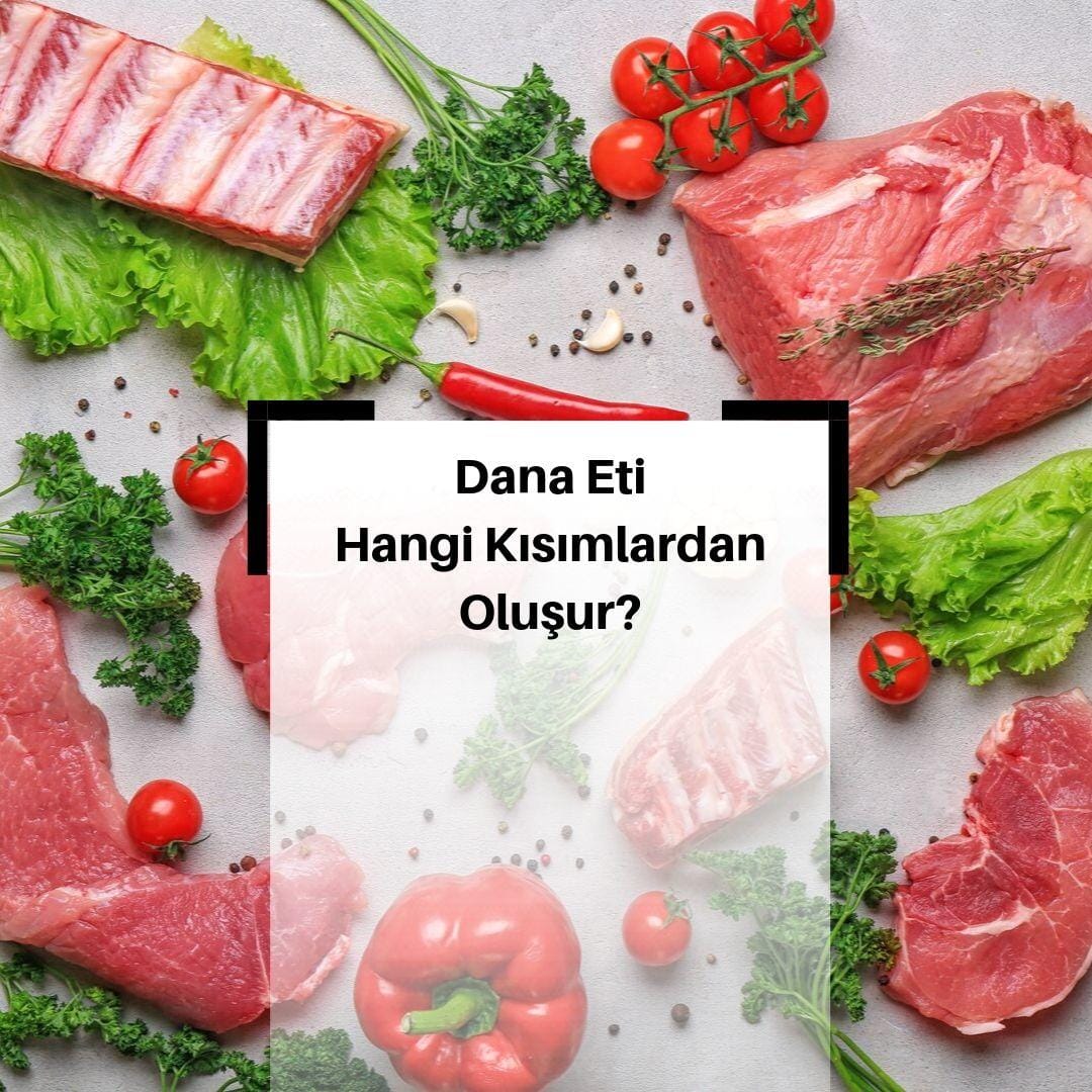 Dana Etinin Kısımları Nelerdir? & Dana Eti Hangi Kısımlardan Oluşur?