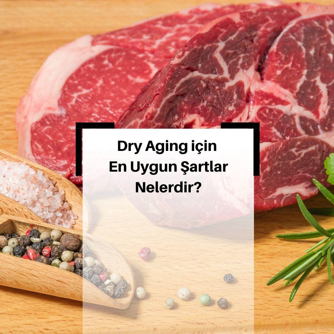 Kuru Dinlendirme (Dry Aging) Nasıl Yapılır? & Dry aging için En uygun şartlar nelerdir?