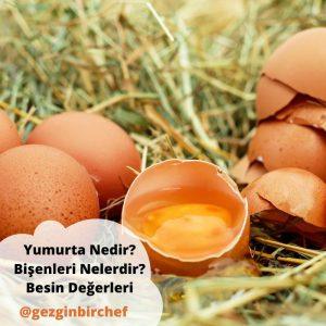 Kabuğu kırılmış, akı ve sarısı ayrı görünen taze bir yumurta yakın çekim
