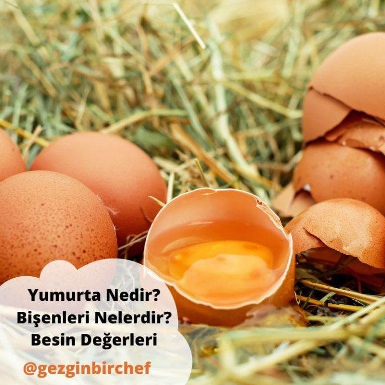 Yumurta Nedir? & Yumurta Bişenleri Nelerdir? & Yumurta Besin Değerleri