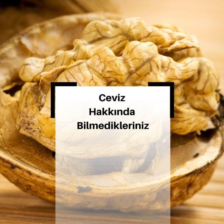 Cevizin Faydaları Nelerdir? & Cevizin Besin Değerleri Nelerdir?