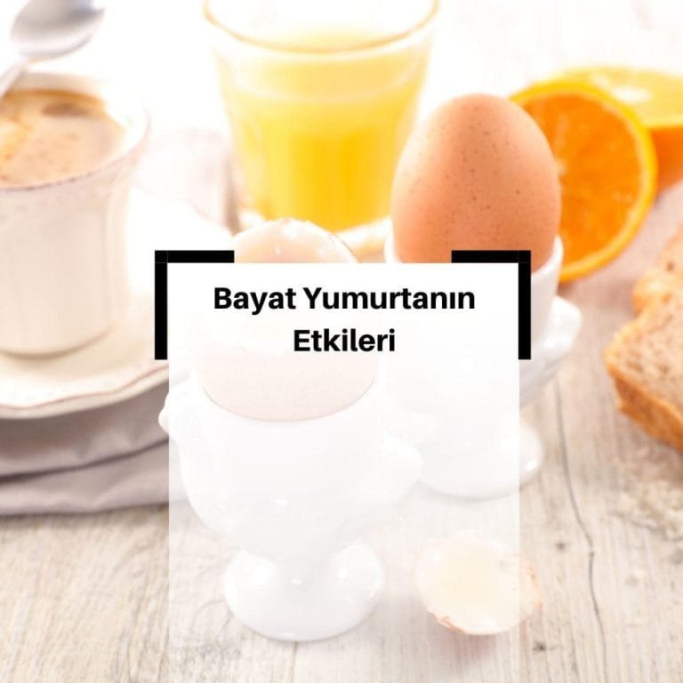 Yumurtanın Taze Olduğu Nasıl Anlaşılır? & Bayatının Zararları
