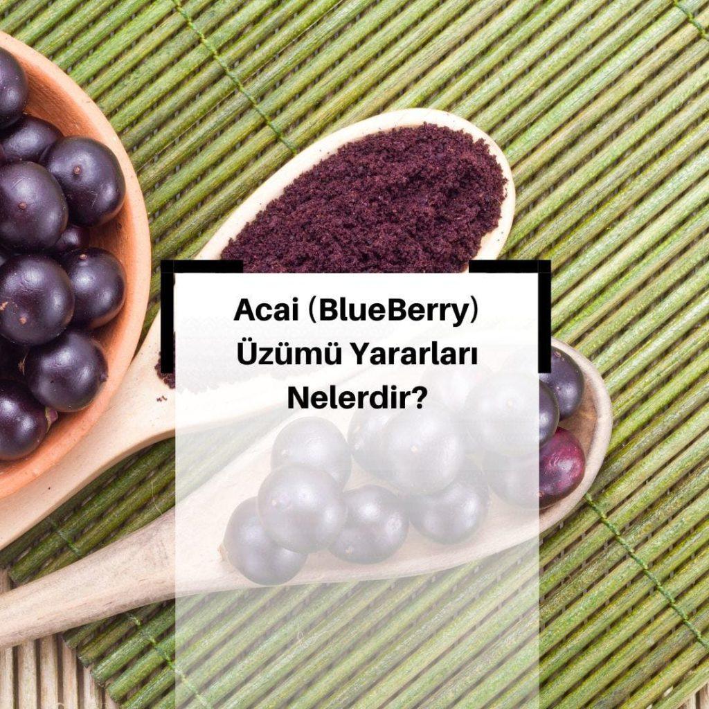 Acai (BluBerry) Üzümü Nedir? & Acai (BlueBerry) Üzümü Faydaları Nelerdir? & Acai Üzümü (BlueBerry) Nedir?