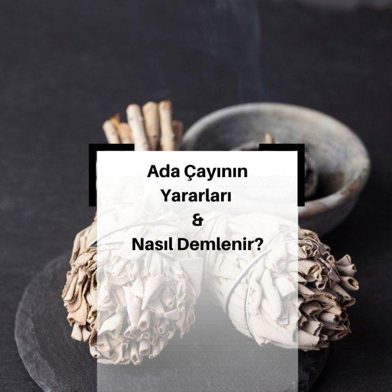 Ada Çayı Nedir? Faydaları Nelerdir? Nasıl Demlenir? & Çaylar