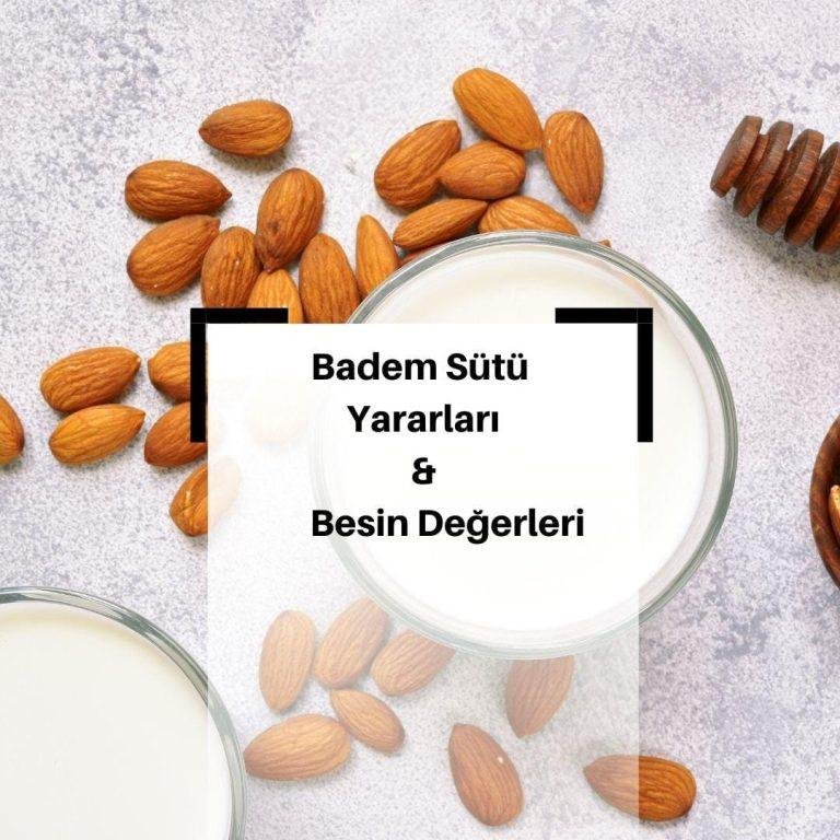 Badem Sütü Nedir? Badem Sütü Faydaları Nelerdir? Badem Sütü Nasıl Yapılır? & Badem Sütü Besin Değerleri Nelerdir? & Badem Sütü Tarifi