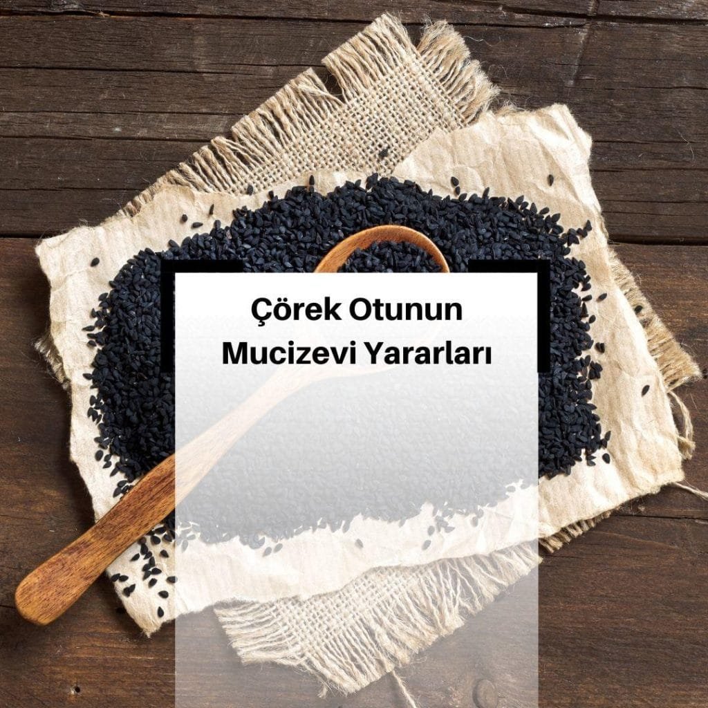 Çörek Otunun Faydaları Nelerdir? & Çörek Otu Besin Değerleri Nelerdir?