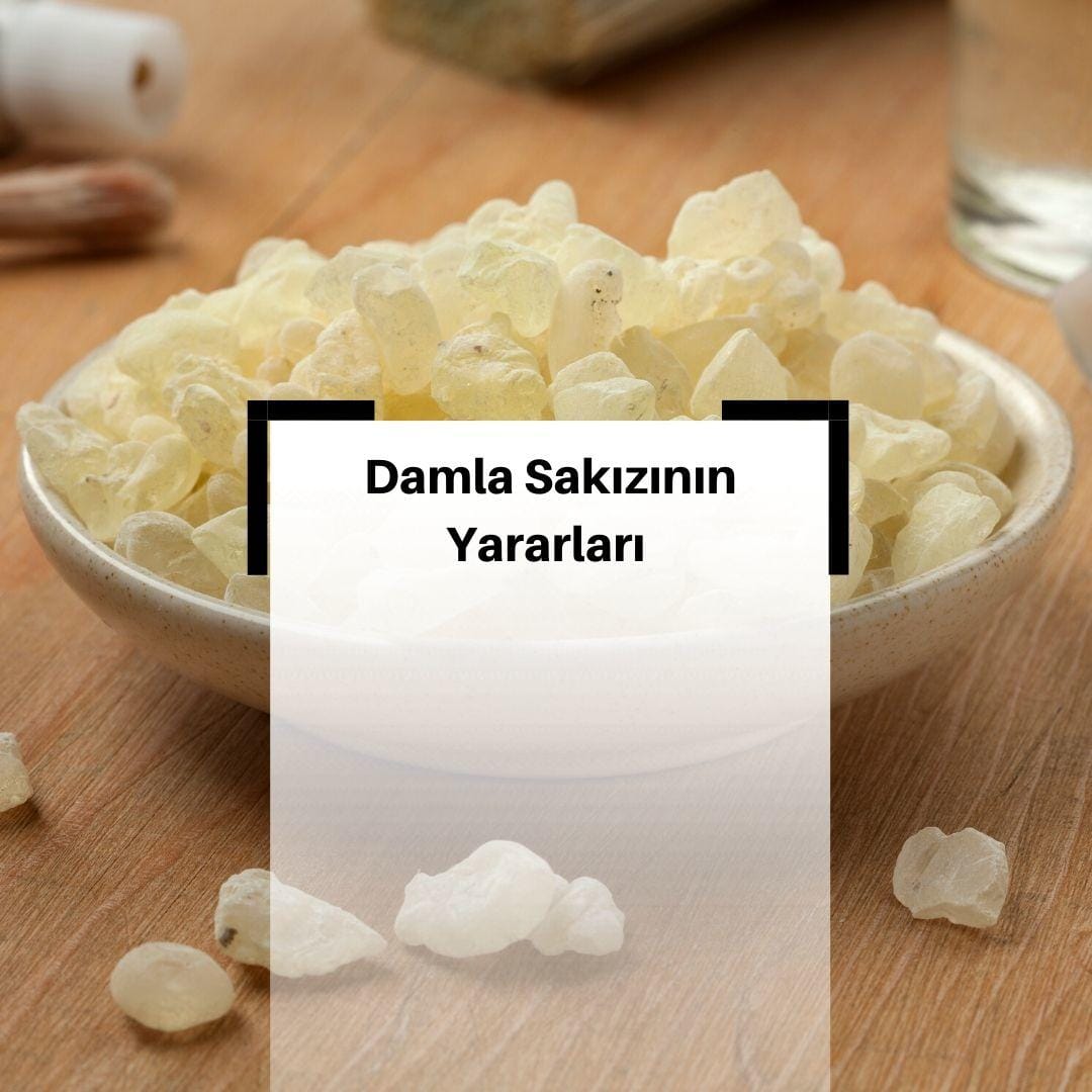 Damla Sakızının Faydaları Nelerdir?