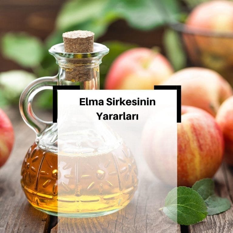 Elma Sirkesinin Faydaları Nelerdir? & Elma Sirkesi Tarifi