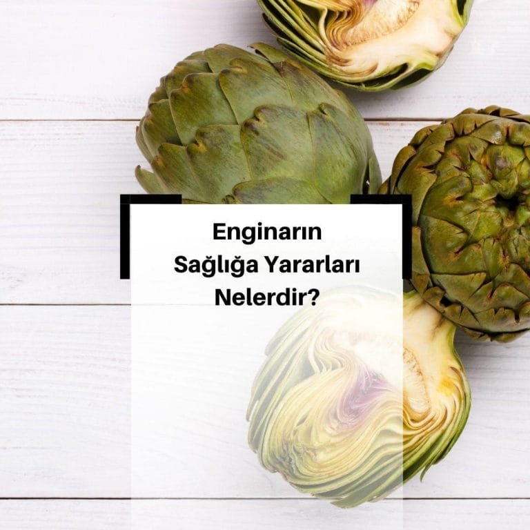 Enginarın Faydaları Nelerdir? & Enginarın Besin Değerleri Nelerdir?