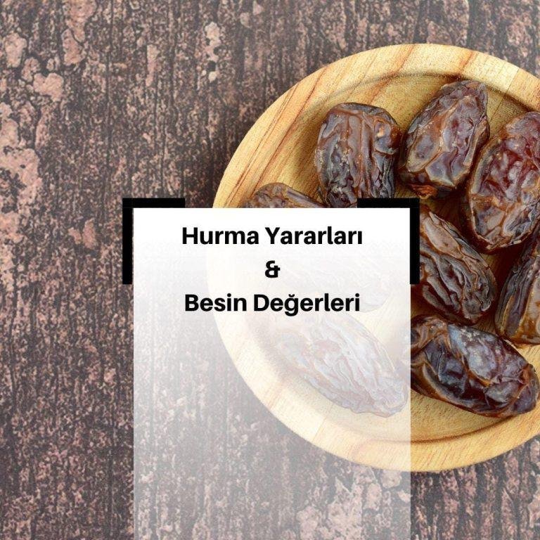 Hurma Nedir? & Hurmanın Faydaları Nelerdir? & Hurmanın Besin Değerleri Nelerdir?