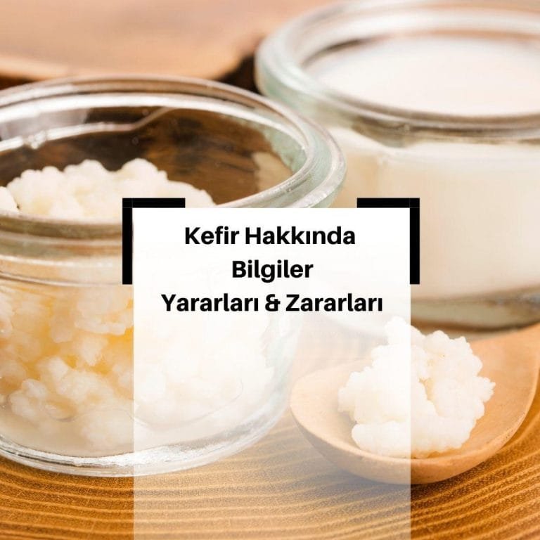 Kefir Nedir? Nasıl Yapılır? Kefirin Yararları & Zararları