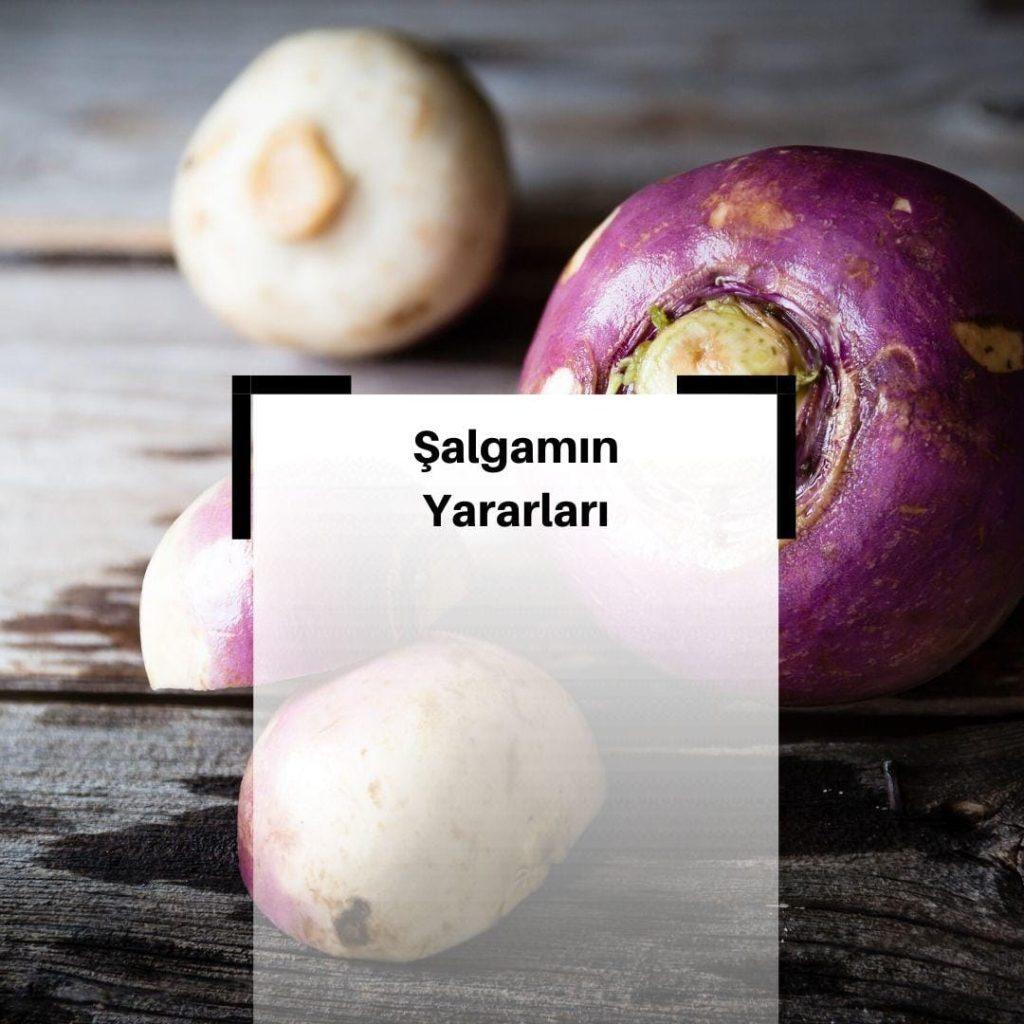 Şalgam Nedir? & Şalgamın Faydaları Nelerdir? & Şalgam Besin Değerleri Nelerdir?