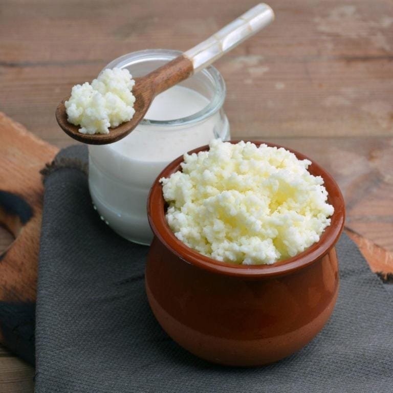 Kefir Tarifi & Probiyotik Tarifleri