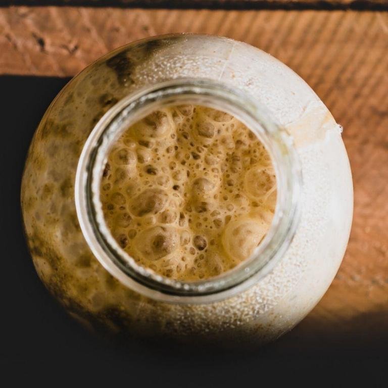 Ekşi Maya Nedir? Nasıl Yapılır? Ekşi Maya Tarifi