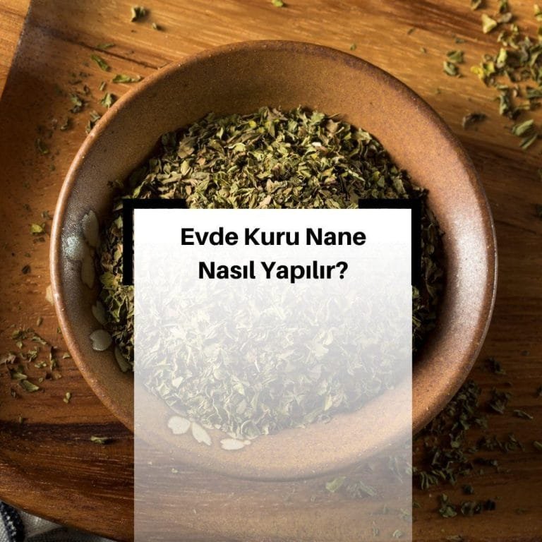 Evde Nane Nasıl Kurutulur?