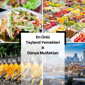 Pad thai, tom yum ve köri gibi renkli Tayland yemeklerinin sokak sunumu