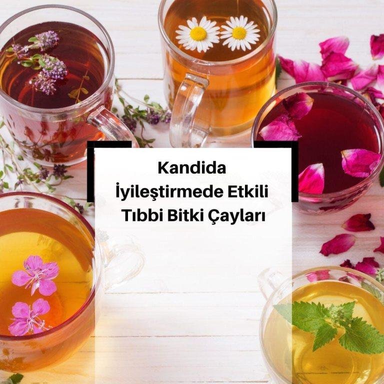 Kandida Tedavisindeki Tıbbi Bitki Çayları (Candida)