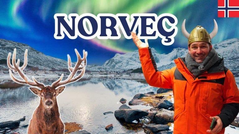 Oslo'nun tarihi ve modern yüzü: Kraliyet Sarayı, Akershus Kalesi ve Viking mirası Bergen'in renkli limanı Bryggen: Ahşap evleri ve fiyort manzaraları Flam Treni ile masalsı bir yolculuk: UNESCO korumasındaki nefes kesici fiyortlar Tromsø'da Kuzey Işıkları avı: Aurora Borealis'in dansını izleyin Norveç mutfağından en lezzetli tatlar: Norveç somonu, geyik eti ve balina eti deneyimi Sami kültürü ve kutup deneyimi : Ren geyikleriyle unutulmaz bir anı