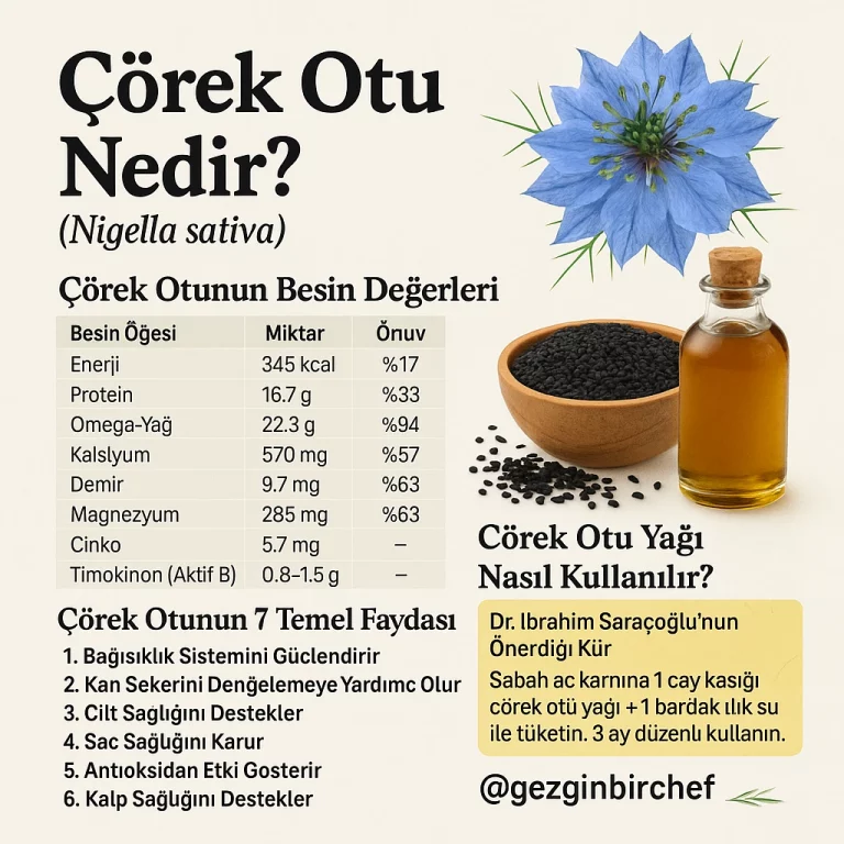 Çörek Otu Nedir? (Nigella sativa) Halk arasında "kara çörek otu", "siyah kimyon" veya "habbatü'l bereket" olarak bilinen çörek otu, düğün çiçeğigiller familyasına ait bir bitkidir. Latince adı Nigella sativa olan bu mucizevi tohum, Orta Doğu'da "bereket tohumu" anlamına gelen isimlerle anılmaktadır.