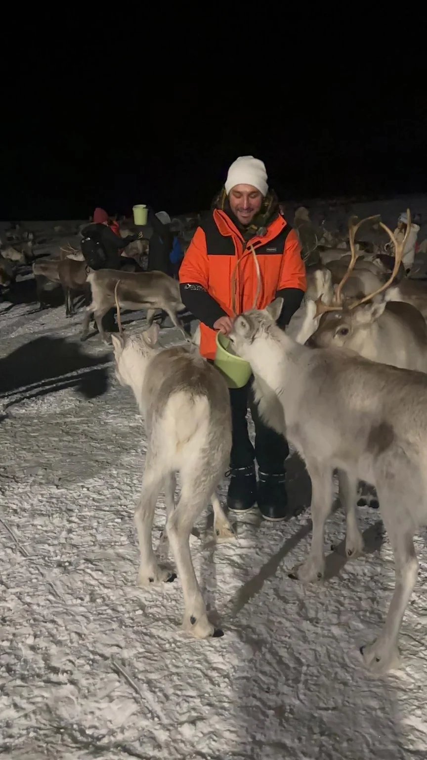 Tromso VLOG ve Gezi Rehberi : Kuzey Işıkları'nın Başkenti Tromsø'de bir Ren geyiği kampında, yakından bir Ren geyiği portresi