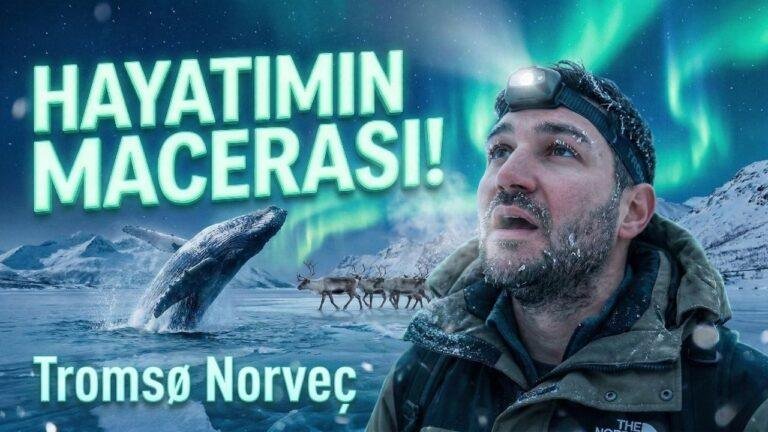 Tromso gezi rehberi ana kapak görseli: Kuzey Isiklari altında balina ve ren geyigi