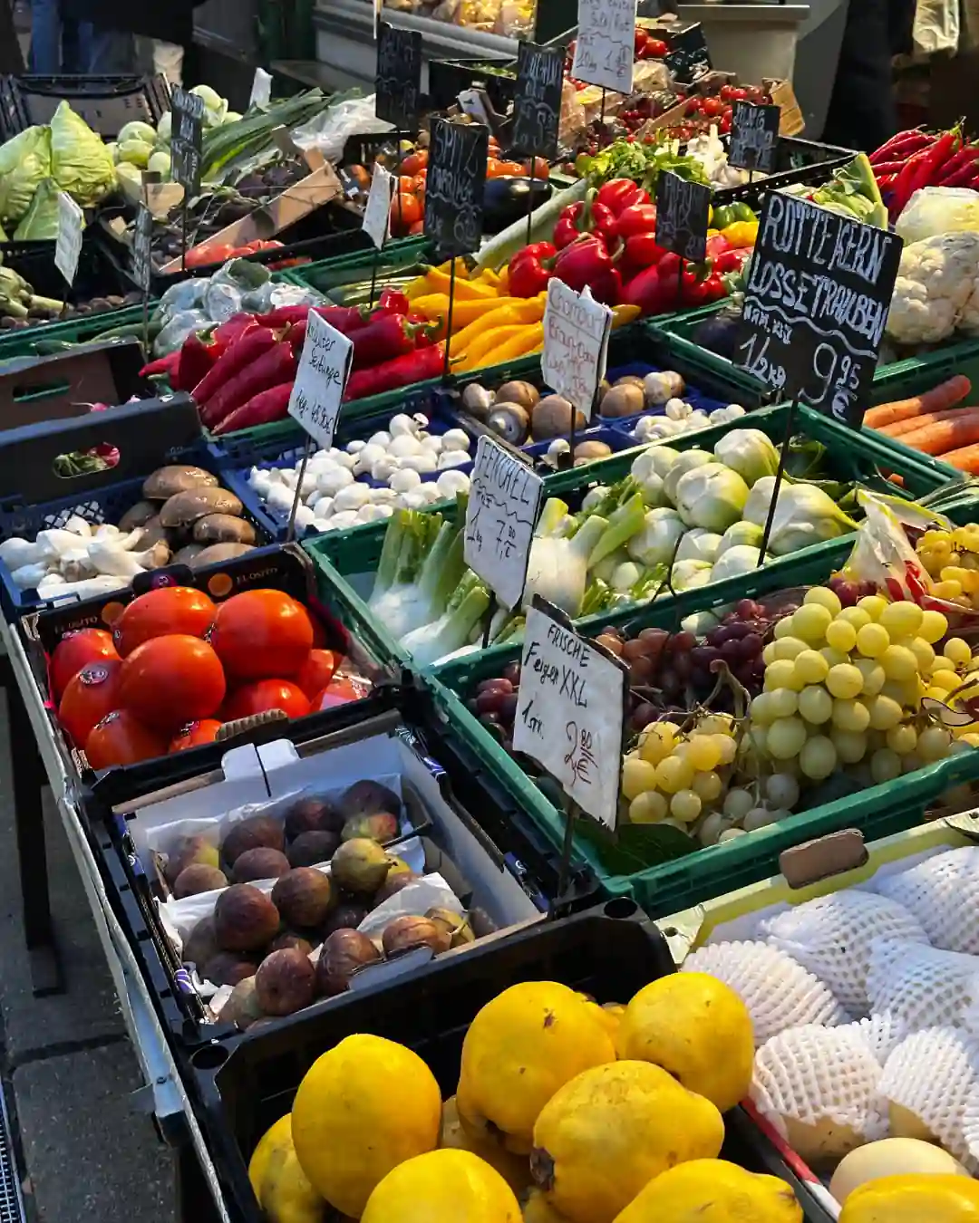 Viyana Wiener Christkindlmarkt buz pateni ve eğlence