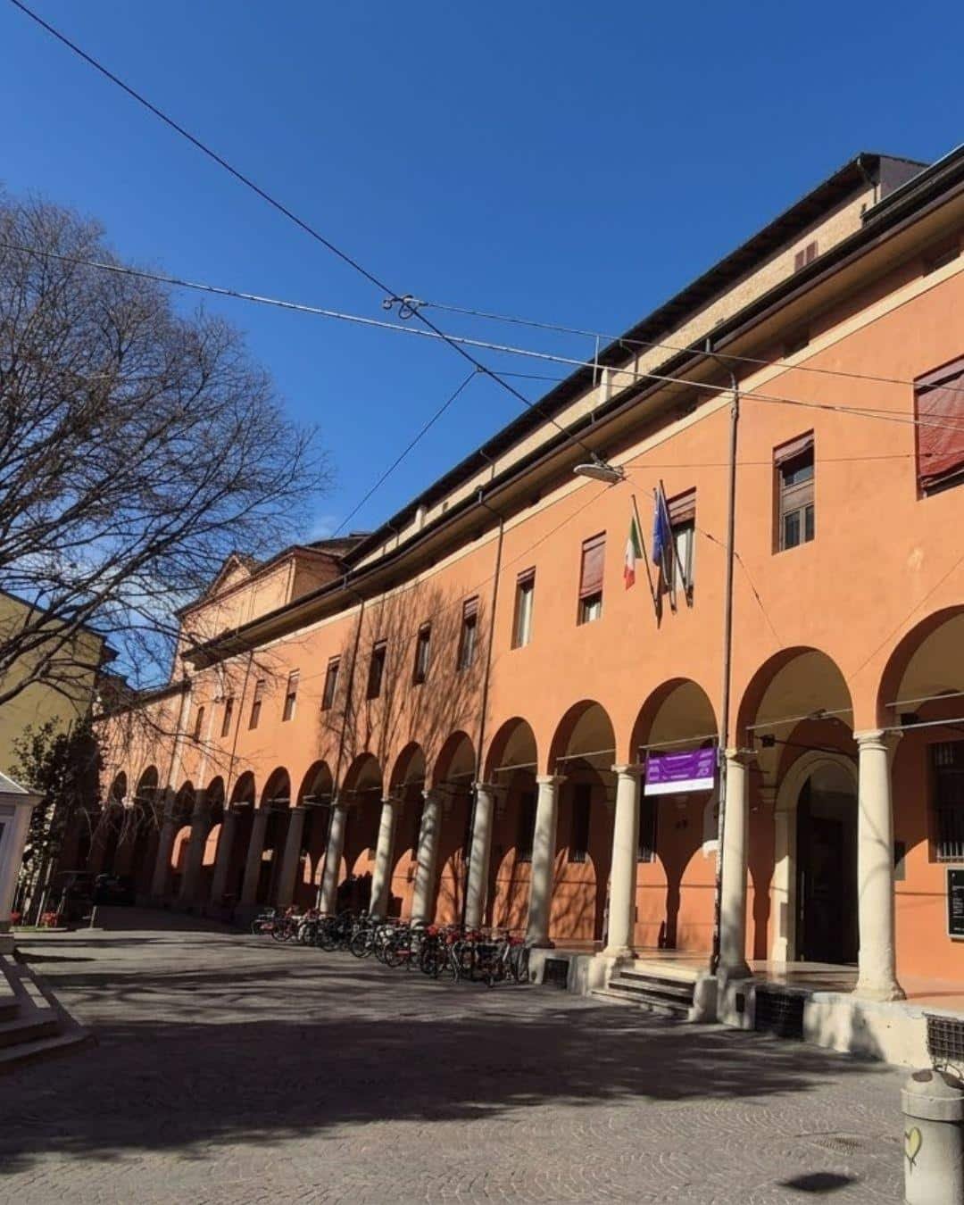 Bolonya (Bologna) Gezilecek Yerler Listesi: Haritalı ve Detaylı Anlatım Pinacoteca Nazionale Bologna: Giotto'dan Raffaello'ya İtalya'nın Gizli Kalmış Müzesi