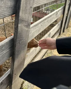 Dedeağaç Gezi Rehberi: A’dan Z’ye Alexandroupoli Seyahati ve İpuçları (Vlog & Özet)