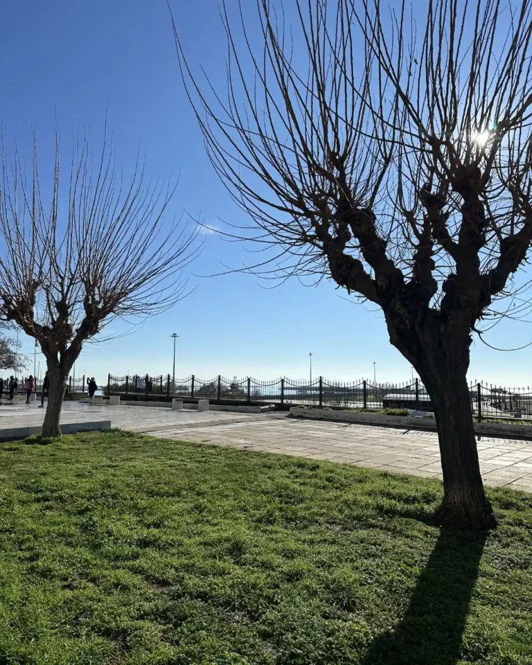 Dedeağaç'ta kahve molası, masada Yunan kahvesi