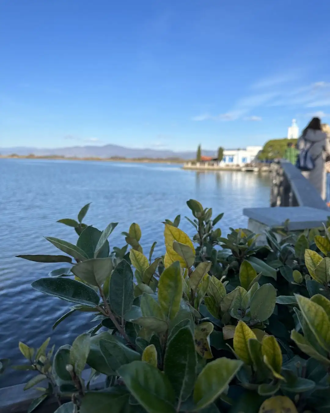 Port Lagos göl kıyısında bitkiler ve uzakta kilise manzarası