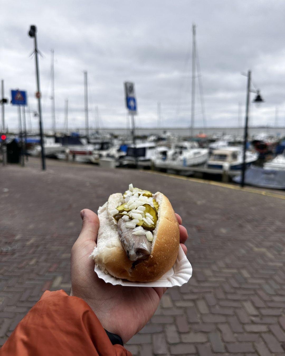 Amsterdam Köyleri: Giethoorn, Zaanse Schans, Volendam, Marken Volendam limanında taze haring çiğ ringa balığı – ekmek arası turşu ve soğanla servis