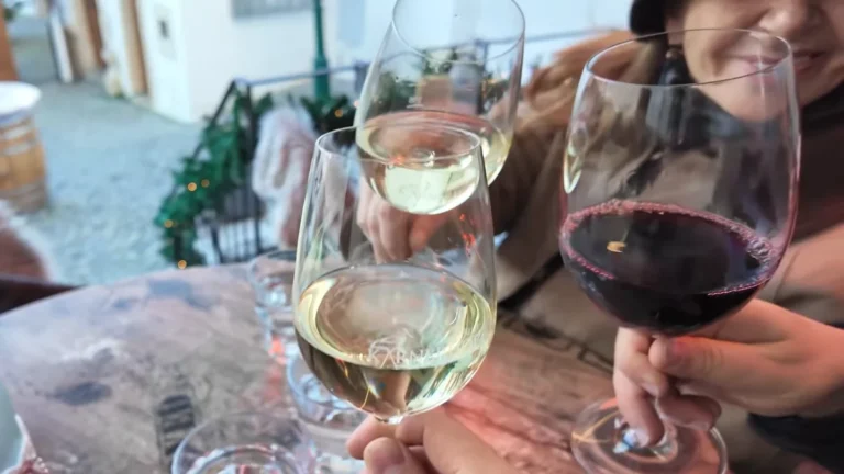 A glass of white and a glass of red wine in Rust, Burgenland