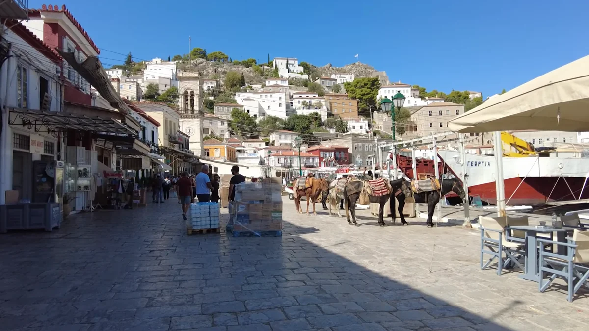 Hydra limanında taş evler, eşekler ve sahil kafeleri