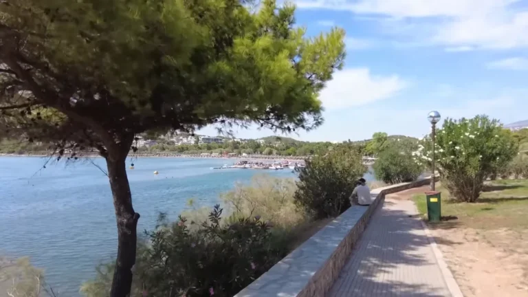 A pine tree, seaside path and turquoise sea on the Kavouri side
