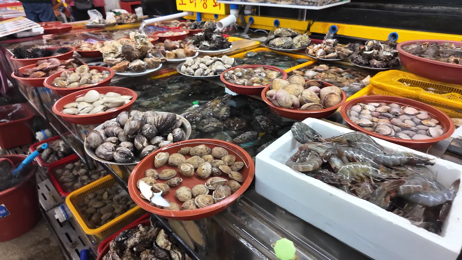 Jagalchi Balık Pazarı’nda tezgahta kabuklu deniz ürünleri ve karides, Busan
