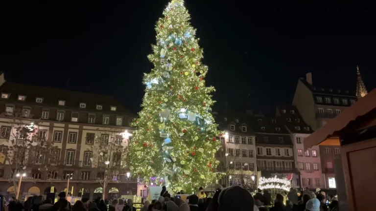 The Great Christmas Tree lit up at night on Place Kléber, Strasbourg