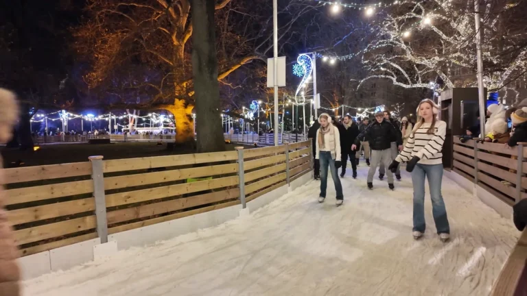 Rathausplatz Noel pazarında ışıklı ağaçlar arasındaki buz pisti, Viyana